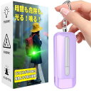 LEDライト付き 防犯アラーム USB充電式 大音量130dB 防水 防犯 ブザー 防犯ベル 小学生 女の子 男の子 女性 大人 子供 ランドセルにつける(パープル)
