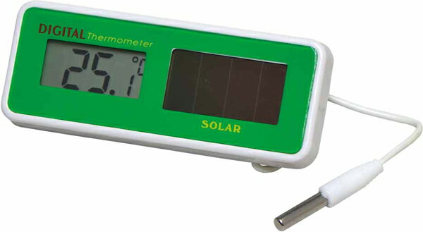 外部センサー温度計 デジタル ソーラー温度計 最高最低温度 デジタル温度計 TD-813 エンペックス 送料無料