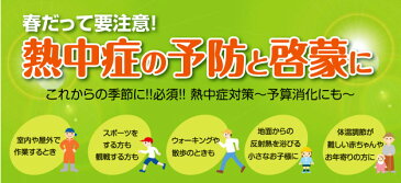 熱中症計 温湿度計 携帯型熱中症計 6977 日本気象協会監修 即納可 メール便可￥320