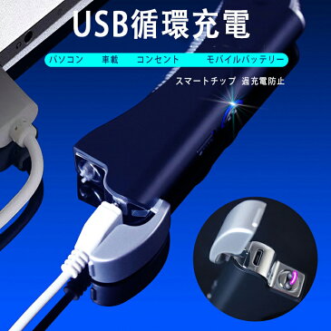 電子ターボライター USB充電式 メンズ USB フレームレス 折りたたみ式 防風 喫煙 アクセサリ チャッカマン 折りたたみ 新モデル タバコとアウトドア両用 USB充電式 プラズマライター コンパクト&軽量 電子ターボライター
