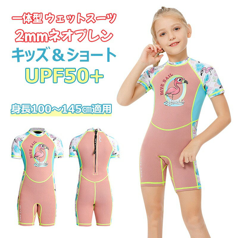 2mmͥץμۥå åȥ 硼 ѥ Ҷ०  ɴݲ ԡ Ⱦµ UVå ...