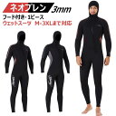 【3mm&フード一体式】1ピース メンズ ウェットスーツ 長袖 ロングパンツ ズボンス 素潜り ネオプレン 水着 日焼け防止 保温 春 秋 夏 冬 伸縮性 耐擦傷
