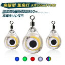 【4個入り&5種類カラー】集魚灯 高輝度 LED 電池付 完全防水 水中ライト 夜釣り 海釣り イカ釣り 耐圧 集魚ランプ 太刀魚/イカ/アジ釣りなどに 水深3...