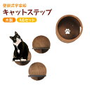【4点セット】猫用ベッド キャットハンモック 猫 壁掛け 木製 壁付け 寝床 猫用ステップ ペットベッド 遊び場 ストレス解消 運動不足 組み立て簡単 四季通用...