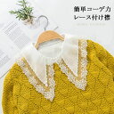 即納 つけ襟 付け襟 レディース 付け襟 レース フェイクカラー 無地 純色 ホワイト 重ね着風 レイヤード 華やか 可愛い お洒落 フェミニン 小物 春新作 20代30代40代50代 母の日 プレゼント 送料無料