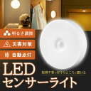 【マラソン限定10倍P付】DEWEL センサーライト 人感センサーライト 室内 フットライト LEDセンサーライト 屋内 足元灯 ナイトライト 自動点灯/消灯 省エネ コードレス使用 常夜灯 電球色 明るさ調節 玄関 廊下 トイレ キッチン USB充電 新生活