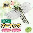 【2025年新版本デル・精巧な作りで超リアル】オニヤンマ 虫除け 12cm-3匹 オニヤンマ トンボ リアルな模型 トンボのおもちゃ 昆虫モデル 蜂よけ 玄関 バルコニー ハイキング キャンプ 登山 釣り ゴルフ 家庭用 装飾 ギフト インテリア 子供のおもちゃ