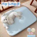 ペット ベッド ペットマット クッション マット猫 犬用 春夏 接触冷感素材 枕付きマット ペット用ベッド 滑り止め 寝心地 おしゃれ ひんやり 洗える 通気性 クール 涼しい 快適