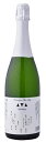 南部美人あわさけスパークリング 箱なし720ml/6本eお届けまで14日ほどかかります