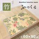 玄関マット 屋内 室内 約60×90cm 抗菌 防臭 ハワイアン モンステラ ふっくら厚みのあるタイプ おしゃれ かわいい インテリアマット