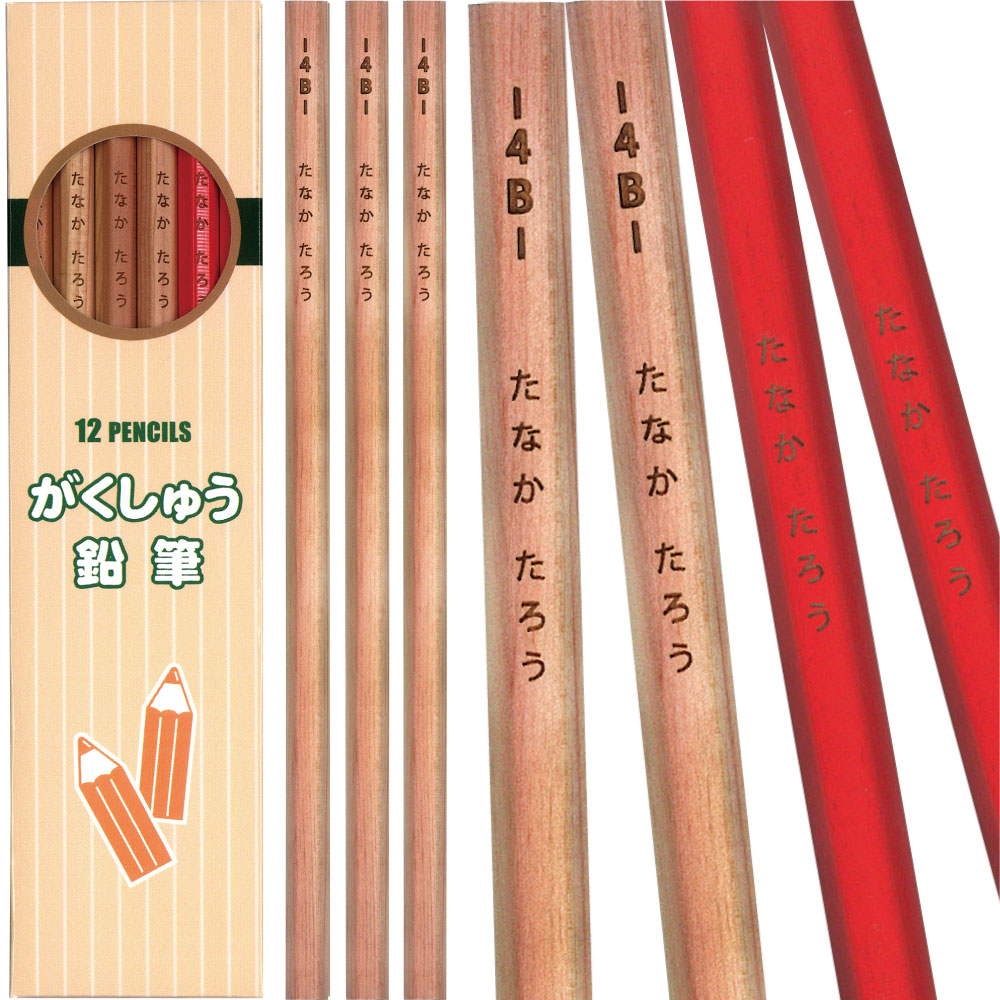 日本製 鉛筆 名入れ 鉛筆 4B がくしゅう 鉛筆 4B 10本 ＋ 赤鉛筆 2本 木軸 無地 入学祝い 名入れ無料祝 卒園 卒園記念 1ダースから 送料無料 鉛筆 名入れ 国産 レーザー彫刻 ひらがな 漢字 sot…