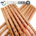2ダース以上のお買上がお得! 名入れ 鉛筆 六角 4B カラフル がくしゅう 鉛筆 4B 12本 鉛筆 名入れ 木軸 無地 日本製 入学祝い 名入れ無料卒園記念...
