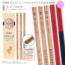 \\まとめ買いは 1ダース669円より// お得な 名入れ UV印刷 鉛筆 三角 カラフル がくしゅう 名入り 2B 赤鉛筆 赤青鉛筆 計12本 国産 ナチュラ...
