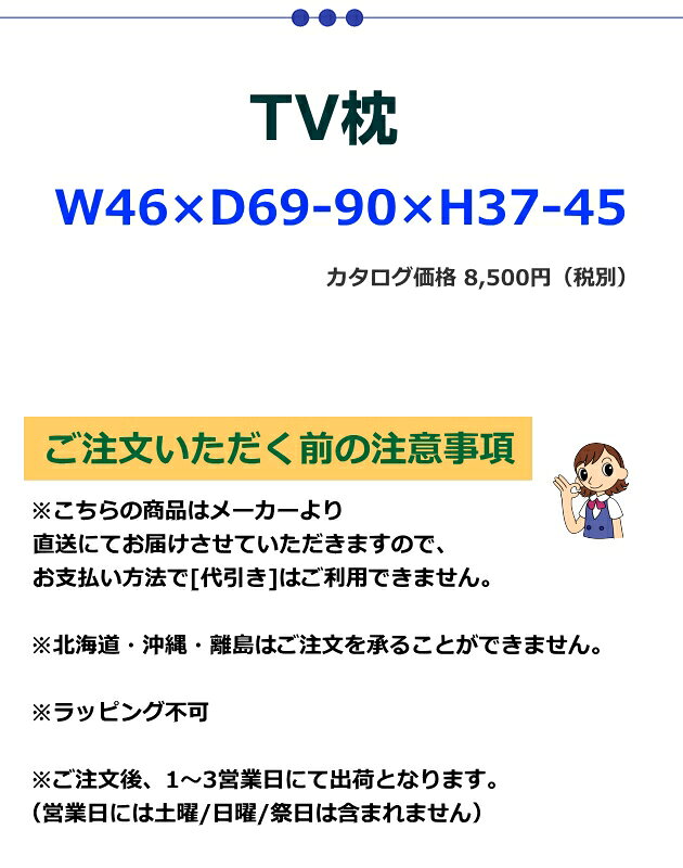 TVまくら L (ブラウン色) [W46×D69-90×H37-45] FCC-121 [3]