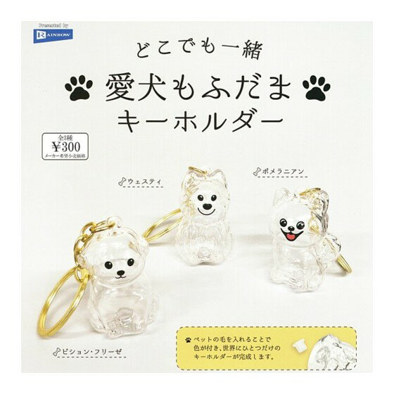 全3種フルセット (フルコンプ) 【 どこでも一緒 愛犬もふだまキーホルダー 】 レインボー (カプセルトイ) 【クリックポストでの発送】