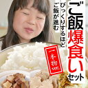 想像以上にご飯がすすむ、ご飯爆食いセットです。1度食べ始めたらお箸が止まらないので要注意！！いぶりがっこ1本物はランダムでお届けするのでお楽しみに！ご家族との団欒へもおすすめです。〈セット内容〉 ■いぶりがっこしそ味スライス ■おかずがっこ甘口 ■白神いぶりがっこ刻み ■いぶりがっこ1本物 下記商品からランダムに2点詰め合わせします。 ●いぶりがっこ（糖漬け）/【三吉農園】 ●GIいぶりがっこ /【だいごの丘】 ●いぶりがっこ /【松倉農産物生産加工所】 ●白神いぶりがっこ一本 /【しらかみファーマーズ】 ●いぶりがっこ /【秋田白神食品】 ●金の蔵 /【ゆめ企画須藤健太郎商店】 ●一本漬け /【秋田食産】 ●いぶりがっこ燻り麦酒漬け /【まこと農産】 ●桜おばこ漬 /【おばこ食品】 ●いぶりがっこ /【秋田協和食産】 ●秋田いぶりがっこ /【桜食品】 ●いぶりがっこ /【物産中仙】 ●無添加！さっちゃんのいぶりがっこ /【大塚味噌醸造所】 商品情報 名称 ご飯爆食いセット～1本物Ver～ 内容量 ■いぶりがっこしそ味スライス(130g)×1 ■おかずがっこ甘口 (150g)×1 ■白神いぶりがっこ刻み (90g)×1 ■いぶりがっこ1本物×1 (グラム数は商品によって異なります。) 販売者 ノースコマース株式会社（いぶり屋） 送料に関するご案内 ご注文直後に楽天市場より自動送信されるメールでは、ご注文個数分の送料が表示されますが、実際には1個分しか送料はいただきません。後ほど当店よりお送りする【メール】の中で、送料を含む最終的な請求金額をお知らせいたします。12