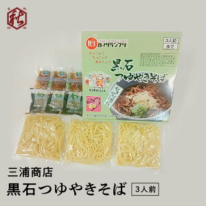 【 三浦商店 】 黒石つゆやきそば 3食入り 黒石つゆやきそば伝紹会監修商品 バーベキュー 焼きそば 濃厚 簡単調理