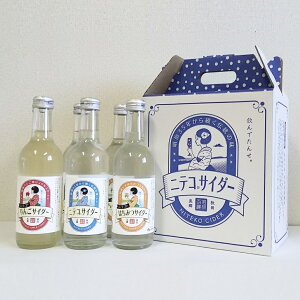 名水の郷 秋田県 美郷町の地サイダー「ニテコサイダー3種6本セット」