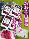 稲庭うどん 職人が作る かりんとう かおる山葡萄 秋田弁 ギフトBOX4袋入り