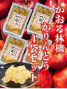 【送料無料】稲庭うどん 職人が作る かりんとう かおる林檎 4袋セット