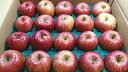 【送料無料】林檎一筋50年以上後藤苹治農園樹上完熟 ふじ 訳あり品18〜24玉　5kgくらい　限定数量
