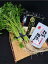 【送料無料】秋田弁ギフトBOXにCRAS三関産せり2束比内地鶏だし200ml国産小麦使用稲庭うどん切り落とし270g 約3人前1袋が入ったセット 3,000円
