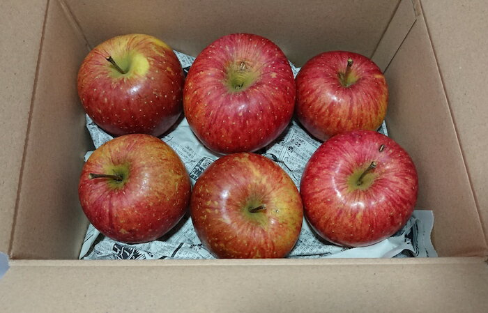 ̵ۼ崰Ϥդ Ӹ50ǯʾ ƣ  6Ĥ