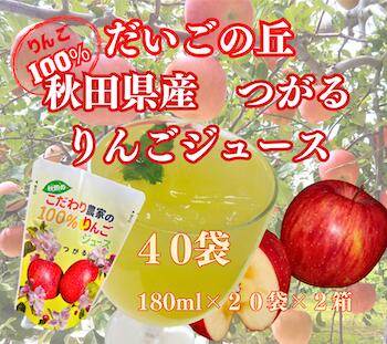 秋田 だいごの丘 りんごジュース つがる 20パック箱入り2箱セット