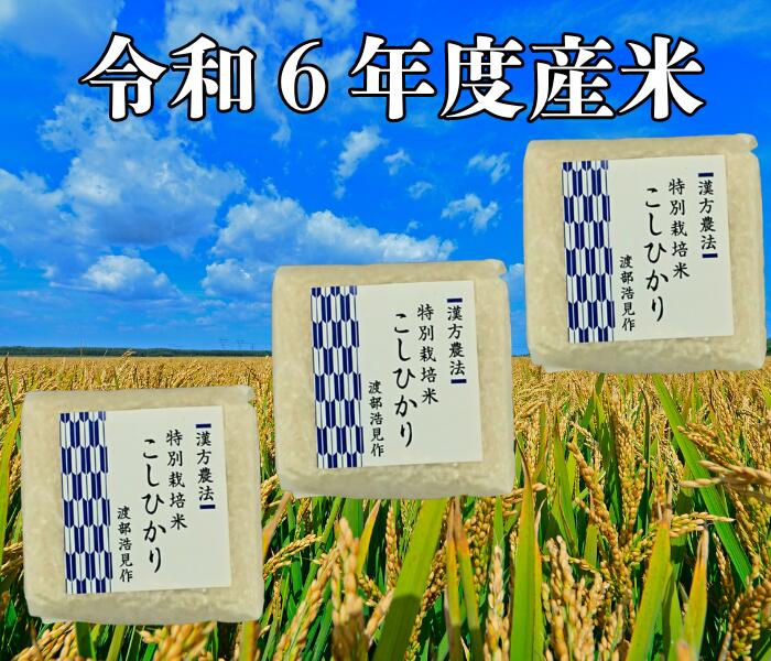【送料無料】令和6年度米 渡部浩見 漢方農法特別栽培米 コシヒカリ300g×3パック