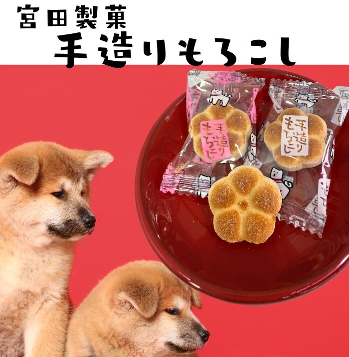 送料無料 宮田製菓 かりっとかじって とろっととける もろこし 巾着もろこし