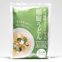 秋田味商 比内地鶏スープで食べる稲庭うどんちゃんぽん風 塩白湯味 3人前