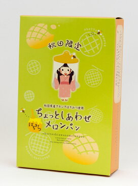 四季彩 ちょっとしあわせメロンパン 9個入