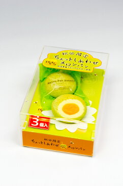 四季彩 ちょっとしあわせメロンパン 3個入