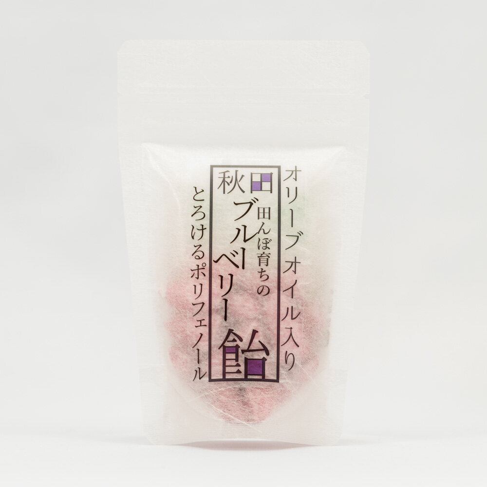 ダイセン創農 秋田ブルーベリー飴40g