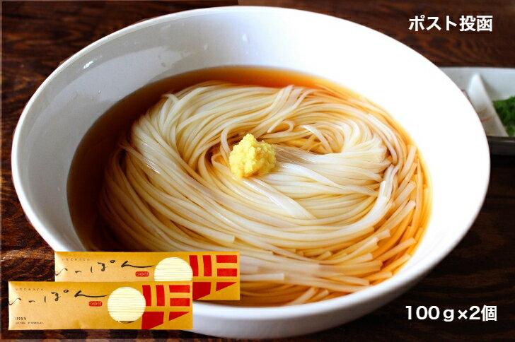 【送料無料】【メール便】いなにわうどん いっぽん IPPO'N （つゆ入り） 1人前×2袋 秋田 お取り寄せ ご当地グルメ 長期保存 乾麺