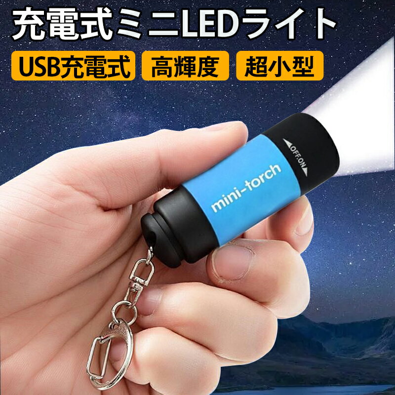 【全品P5倍 2点6％OFFクーポン】懐中電灯 ミニ懐中電灯 USB充電式ライト 防災 小型 ミニ 軽量 キーホルダー ポケットライト 高輝度LED 持ち運び アウトドア キャンプ 2色 防災対策 常備品