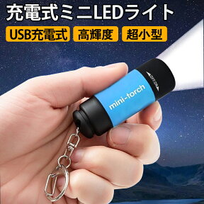 【全品P5倍+2点6％OFFクーポン】懐中電灯 ミニ懐中電灯 USB充電式ライト 防災 小型 ミニ 軽量 キーホルダー ポケットライト 高輝度LED 持ち運び アウトドア キャンプ 2色 防災対策 常備品