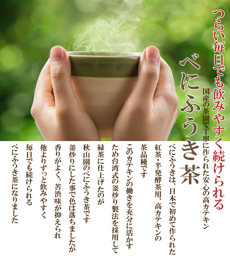 べにふうき茶 粉末スティック 30本入り 送料無料 釜炒り製 紅富貴茶（べにふうき茶パウダー）メチル化カテキン 送料無料　(be) お茶