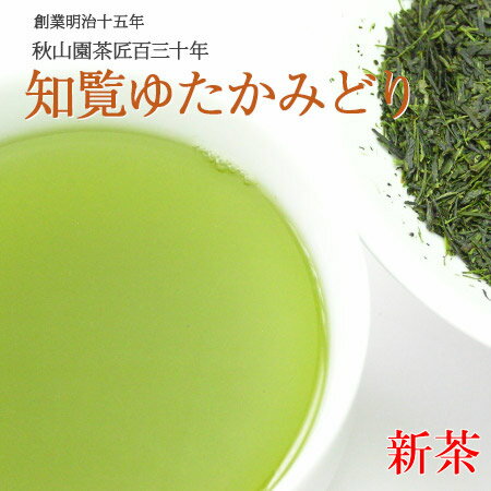 新茶 2024 知覧茶 ゆたかみどり 80g 品種茶 (08)zm