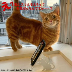 https://thumbnail.image.rakuten.co.jp/@0_mall/akiyamass/cabinet/04484868/s-09w/imgrc0102619401.jpg