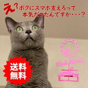 スマホスタンド かわいい おしゃれ 折りたたみ ベッド 猫 送料無料 日本製 可愛い 贈り物 ギフト 誕生日 お祝い ネコ ひまわり にゃんにゃん (セパレート...