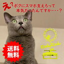 スマホスタンド かわいい おしゃれ 折りたたみ ベッド 猫 送料無料 日本製 可愛い 贈り物 ギフト 誕生日 お祝い ネコ ひまわり にゃんにゃん (セパレート...