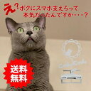 スマホスタンド かわいい おしゃれ 折りたたみ ベッド 猫 送料無料 日本製 可愛い 贈り物 ギフト 誕生日 お祝い ネコ ひまわり にゃんにゃん (セパレートタイプ)が スマートフォン アイフォン を支える スタンド 鉄製 コンパクト 安定感があり(2)