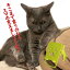 スマホスタンド かわいい おしゃれ ベッド 猫 送料無料 日本製 可愛い贈り物 ギフト 誕生日 お祝い 立ち猫（ワンピースタイプ）の立ったネコちゃんが スマホ iPhoneスマホ iPhone を支えます。
