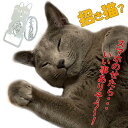 スマホスタンド かわいい おしゃれ 招き猫 猫 送料無料 日本製 可愛い 贈り物 ギフト 誕生日 お祝い まねきねこ（ワンピースタイプ）が スマホ iPhone を支えます。鉄製 安定感があり、 スマートフォン アイフォン アンドロイド アイパッド も大丈夫！