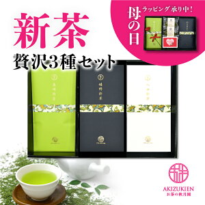 【新茶販売開始】新茶 2023 新茶セット 茶葉 80g 新茶 母の日ギフト 母の日 プレゼント ギフト 内祝 お茶 八女茶 緑茶 日本茶 詰め合わせ お茶セット 人気 新茶 美味しい カーネーション 九州 お返し 年上 飲み比べ 法要 ご年配 オススメ 母の日ラッピング