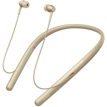 【SONY】 WI-H700 NM ゴールド ワイヤレスイヤホン h.ear in 2 Wireless Bluetooth ハイレゾ対応 最大8時間連続再生 カナル型 マイク付き 360 Reality Audio認定モデル ペールゴールド メーカー1年間保証 【海外仕様】