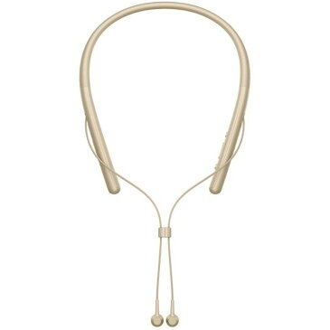 【SONY】 WI-H700 NM ゴールド ワイヤレスイヤホン h.ear in 2 Wireless Bluetooth ハイレゾ対応 最大8時間連続再生 カナル型 マイク付き 360 Reality Audio認定モデル ペールゴールド メーカー1年間保証 【海外仕様】