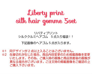 ヘアゴム ヘアポニー 福袋 セット シルク リバティプリント クルミ ドット フラワー 花 水玉 幾何学 超お得 お買い得 ばらまき プレゼント ヘアアレンジ まとめ髪 デイリー オフィス カジュアル パーティー ストリート クリスマス プチプラ 大人可愛い 通販