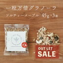 ＼訳ありにつき50％OFF／ グラノーラ 45g 3袋 ソルティメープル 一粒万倍 白砂糖不使用 香料不使用 赤穂の天塩 おやつ おつまみ お菓子..